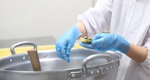 お弁当の調理、盛付、調理補助